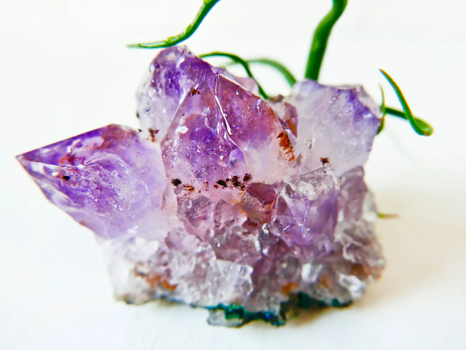 Amethyst Crystal Rock Bulbolsa -  Air Plant Garden