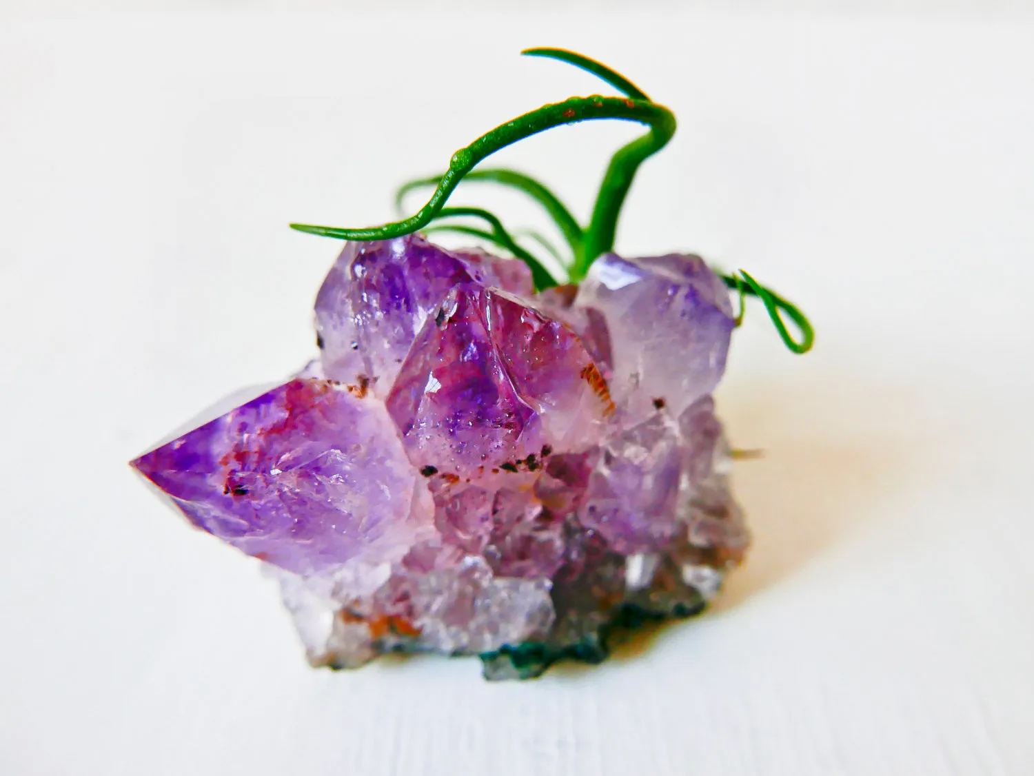 Amethyst Crystal Rock Bulbolsa -  Air Plant Garden