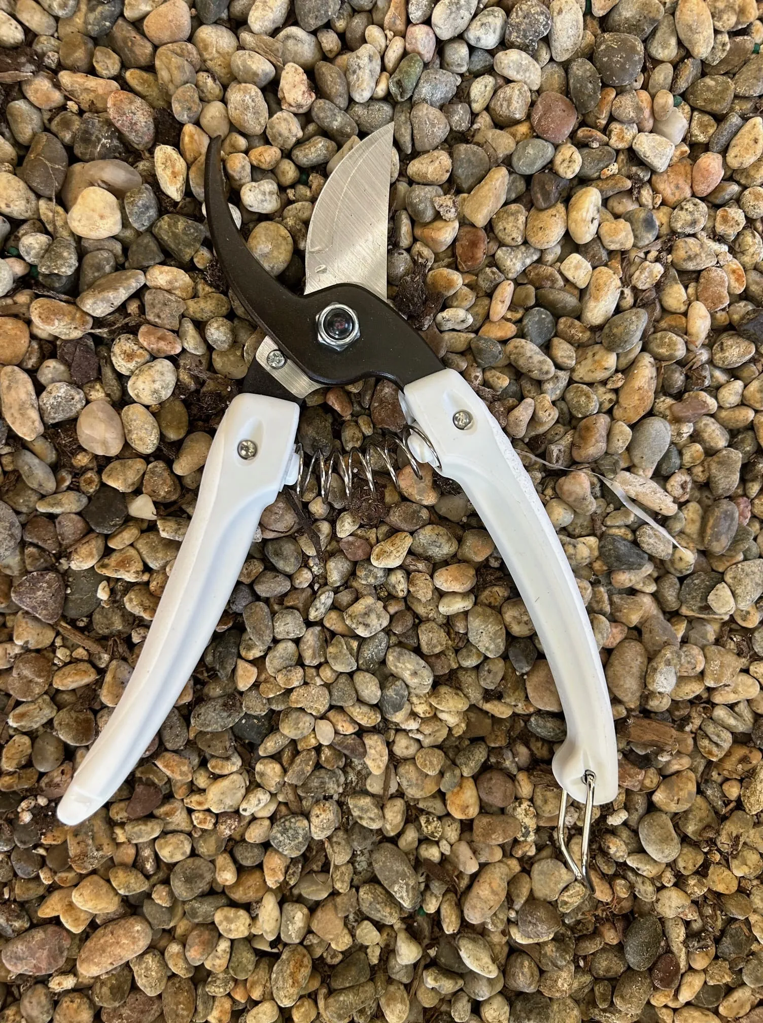 ARS  Pruners - Mini Choki