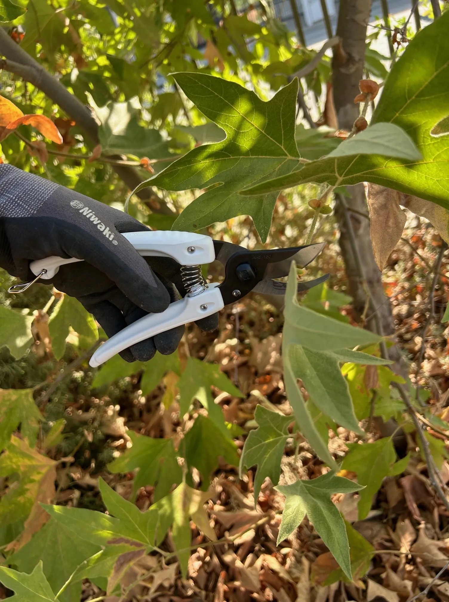 ARS  Pruners - Mini Choki