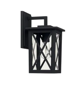 Avondale 1-Light Outdoor Wall Lantern