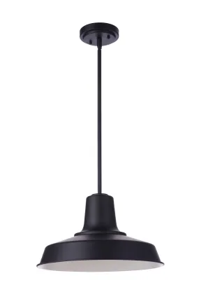 Briscoe 1-Light Outdoor Pendant