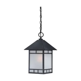 DREXEL 1 LIGHT OUTDOOR HANGING