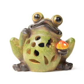 Frog Solar Powered LED Outdoor Garden