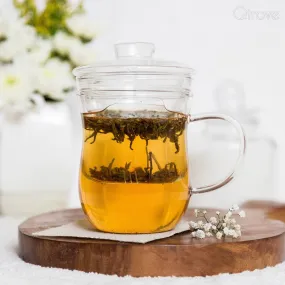 Gracil Glass Tea Infuser Mug (300 ml)