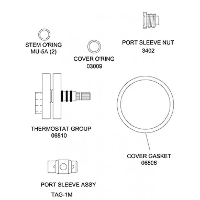 Guardian RK3600A Repair Kit for G3600 Tempering Valve, Updated Part Number: Leonard KIT R/TA/M