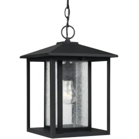 Hunnington 1-Light Outdoor Pendant