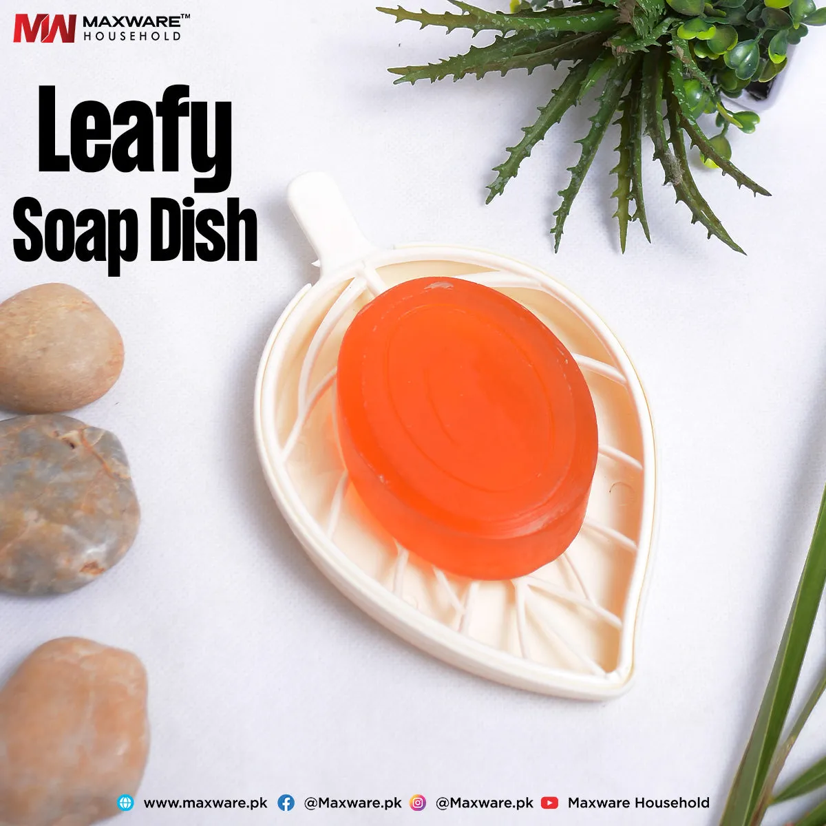 Leafy Soap Dish