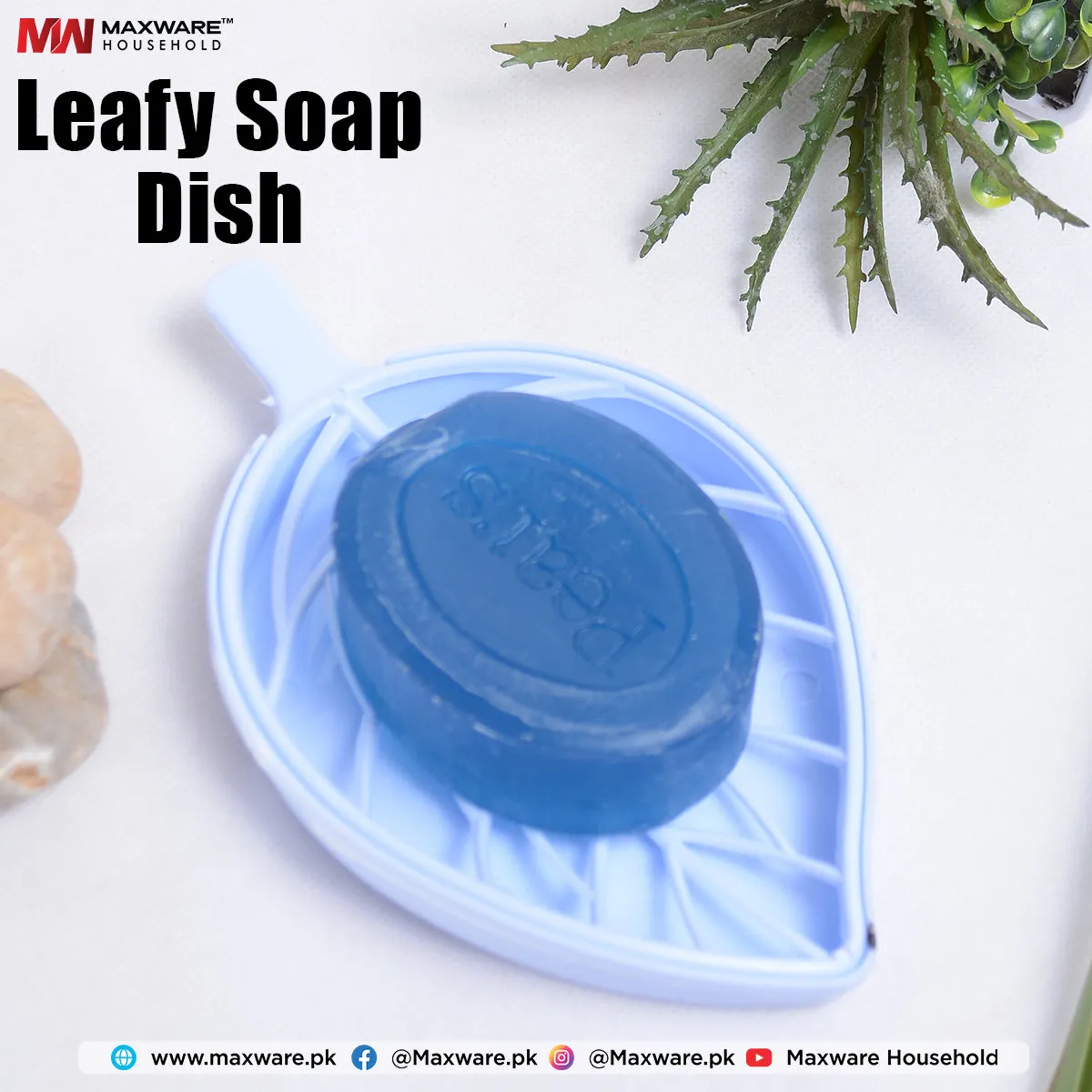 Leafy Soap Dish