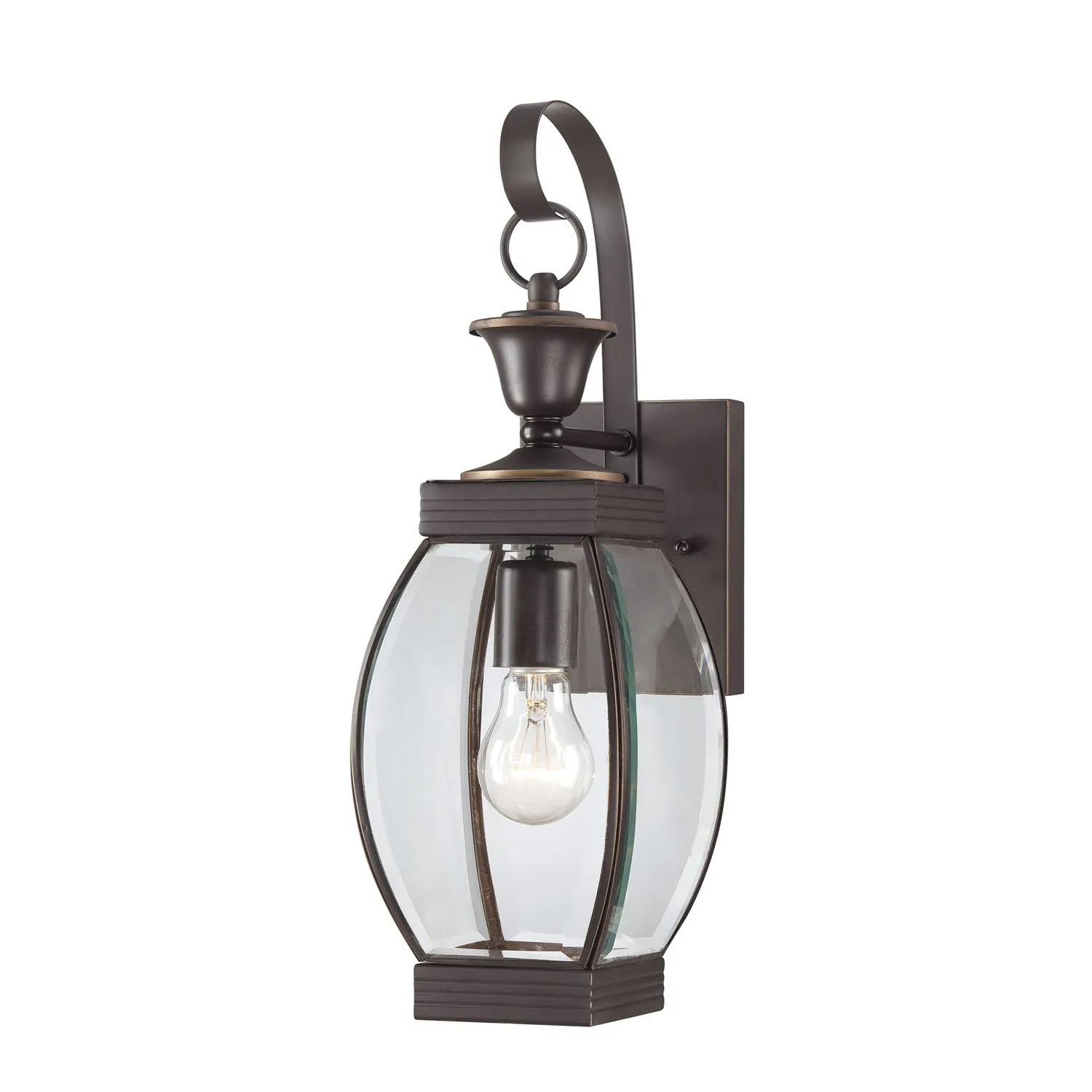 Oasis 1-Light Outdoor Lantern in Medici Bronze