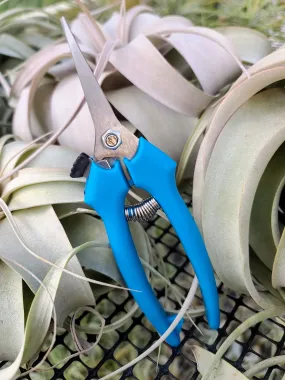 Pruning Shears