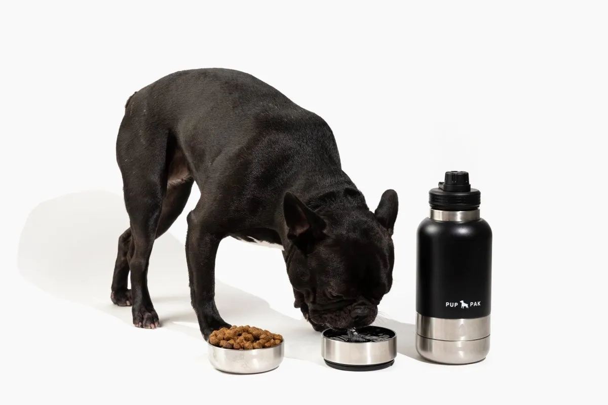 Pup Pak Dog Water Bottle with Detachable Bowls