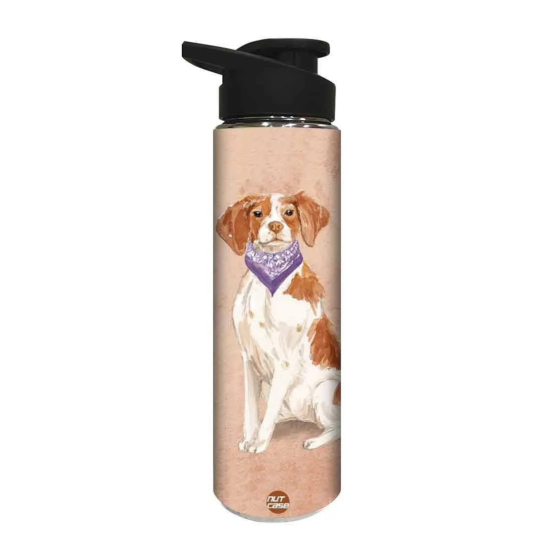 Stainless Steel Sipper Bottle -  Smart Hip Dog