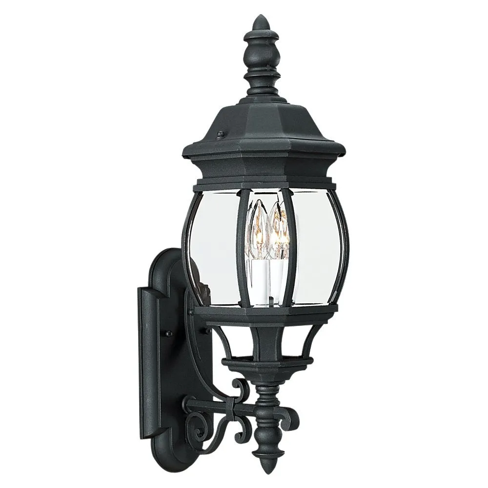 Wynfield 2-Light Outdoor Wall Lantern