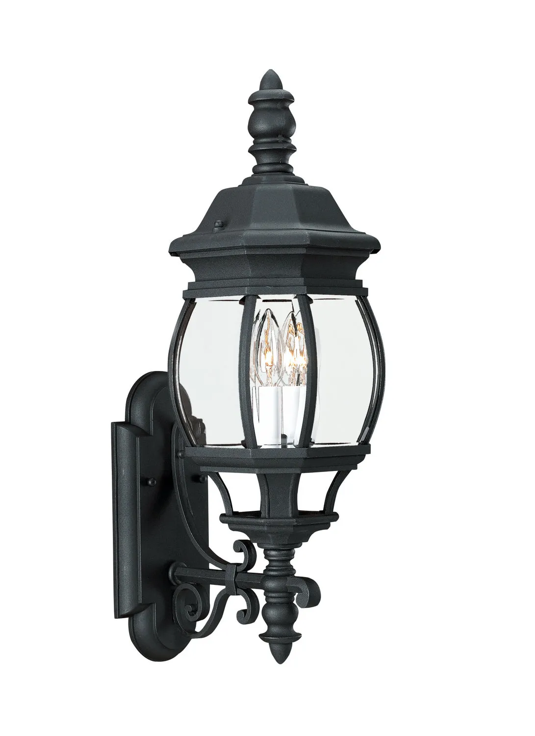 Wynfield 2-Light Outdoor Wall Lantern